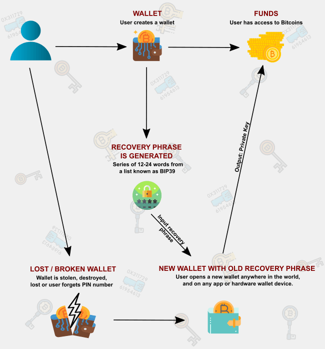 Crypto wallet backup infographic