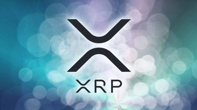 XRP Support