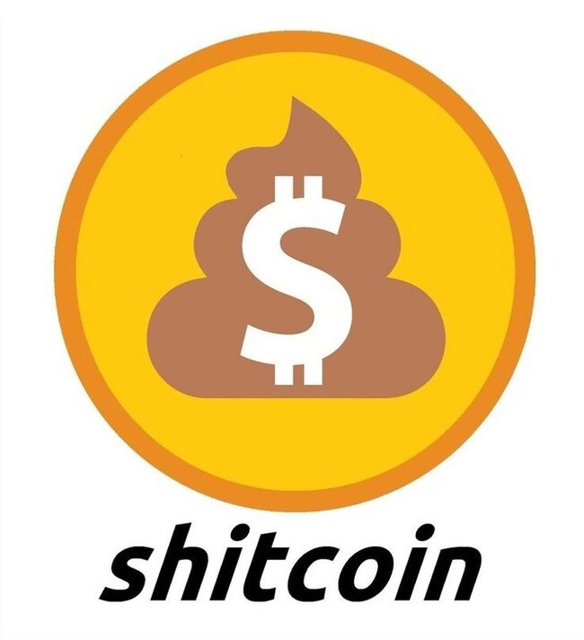 The Shit Coin Rollercoaster: Buckle Up for Wild Rides