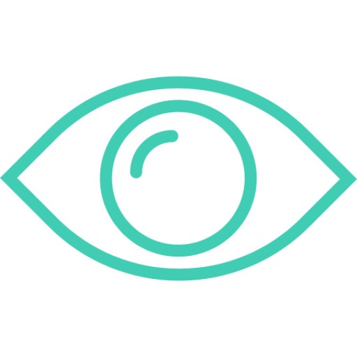 Eye icon